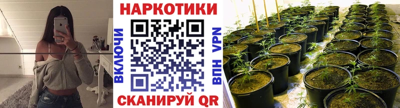 Цена Владивосток СК  Амфетамин  Канабис  КОКАИН  гидра ссылка  Мефедрон 