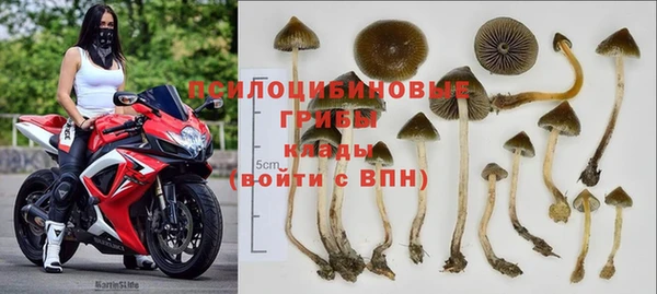 соль курить ск Алексеевка